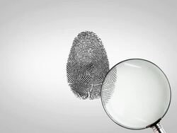 Magnifity glass searching fingerprint Stock Footage