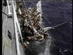 Haiti, USA Troops Sent In, Somalia US Intervention, Iraq/Kuwait, North/South Korea News Clip