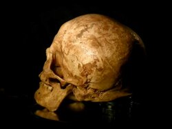 Human skull, HD1080, NTSC, PAL Stock Footage