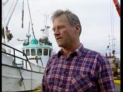 Iceland set to resume limited whaling despite criticism News Clip