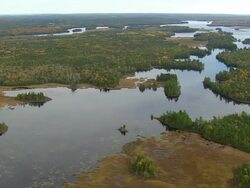 WS ARIEAL View of Wooded area and lake / Maine, United States Stock Footage
