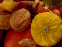 Autumn composition Stock Footage