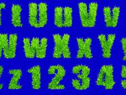 T thru Z and numbers made with swaying grass. Stock Footage
