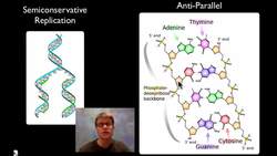 DNA Replication Instructional Video