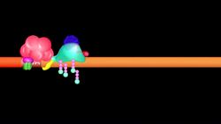Transcribing DNA into m-RNA Instructional Video