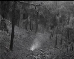 CYPRUS FIRE AFTERMATH News Clip