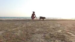 Happy woman with two french bulldog enjoys in Sea Sunset. Stock Footage