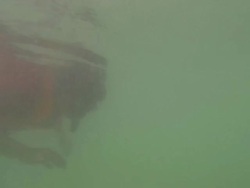 Diver Swimming Stock Footage