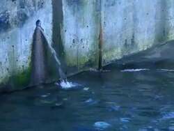 CU Water streaming out of hole through wall / Dalcahue, Isla Grande de ChiloÃŒÂ©, Chile Stock Footage
