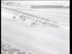 Horse Racing, West Point, Japan News Clip