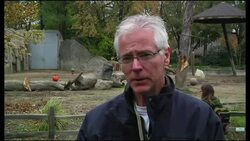 Halloween comes early for Detroit Zoo's animals News Clip