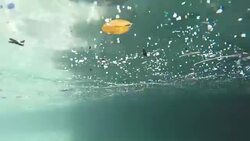 Plastic Chemicals From Ocean Getting Into The Food Chain News Clip