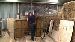 The art of alpaca breeding News Clip