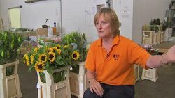 Economic Impact of EuroTunnel Closure on Business in UK News Clip