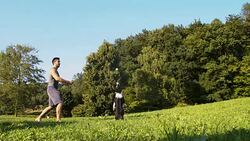 SLO MO Trainer teaching Border Collie to catch a ball Stock Footage