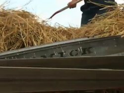 Farm Work Stock Footage