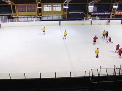 Ice Hockey (HD) Stock Footage
