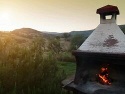 Log Fire for embers and roasted meat Stock Footage