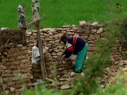 Afar men building stone enclosure Stock Footage
