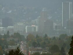 WS View of Cloudy Portland, Oregon sits among trees / Portland, Oregon, United States  Stock Footage