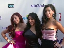 Cast of Beauties & the Boss at the NBC Universal Press Tour All-Star Party at Los Angeles CA. (Footage by WireImage Video/Getty Images Entertainment Video) Stock Footage