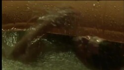 An accident victim tries to escape a sinking car. Stock Footage