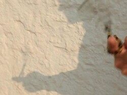 Necklace in Pearls with Hand Stock Footage