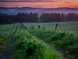 CRANE UP: Field Sunrise Stock Footage