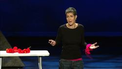 Margaret Wertheim: The beautiful math of coral Instructional Video