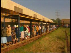 South Africa/New Zealand - Election News Clip