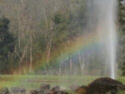 Geyser in wind blow. Stock Footage
