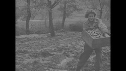 Red Cross brings doughnuts to US soldiers in Italy during World War II News Clip