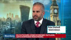 EU Cuts Euro-Zone Economic Outlook News Clip
