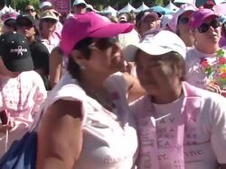Seventh Annual Los Angeles Avon Walk for Breast Cancer Stock Footage