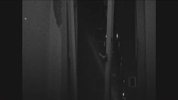 CAN619 FIREFIGHTERS TACKLE BLAZE AT DELLIEHAUSEN FACTORY / WAREHOUSE Instructional Video