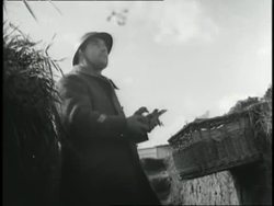 Two military officers attach a note to the leg of a carrier pigeon. News Clip