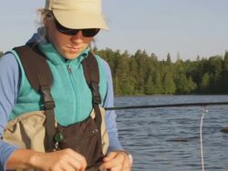 CU Shot of Woman fly fishing adjusting knot on Pond / Maine, United States Stock Footage
