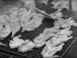 LBJ Hosts Barbeque for Latin-American Diplomats Stock Footage