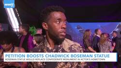 Fans Petition For Chadwick Boseman Statue In Actor's Hometown News Clip