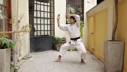 Man Practicing Martial Arts Stock Footage