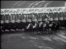 FAVOURITE WINS KENTUCKY DERBY News Clip