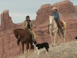 WS Cowgirl and cowboy on horseback standing and talking on scenic hilltop while dogs are waiting / Shell, Wyoming, United States Stock Footage
