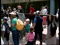 Mexican zoo artificially inseminates one of three female pandas News Clip