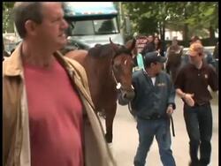 The trainer for Big Brown says the horse is happy and feeling good. He says while the colt is getting better every day he wishes the race were now News Clip