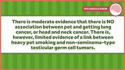 What We Know about Pot in 2017 Instructional Video