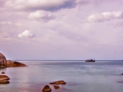 Pink morning seascape Stock Footage