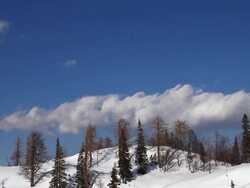 Winter Wonderland Stock Footage