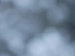 Snowstorm Stock Footage