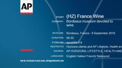 Bordeaux museum devoted to wine Instructional Video