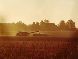 A combine downloads its harvested corn into a wagon at sunset; a farm home and barn in the background. Stock Footage